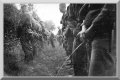 german-soldiers-wehrmacht-second-world-war-pictures-001