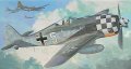 Has_Fw190A-6_cover